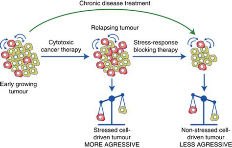 Different Anticancer Therapy Schemes Can Minimise The Strengthening Of