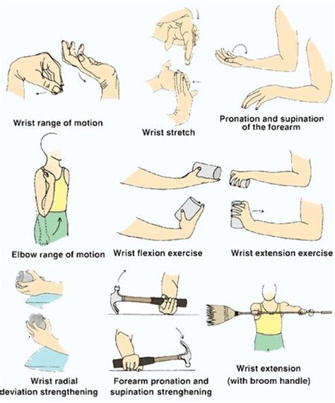 Tennis elbow refers to pain that is typically on the outside of the elbow and originates in what is known as the common extensor tendon origin, where when appropriate, it will be time to reload the common extensor tendon with specific exercises. 19 best ELBOW images on Pinterest | Physical therapy ...