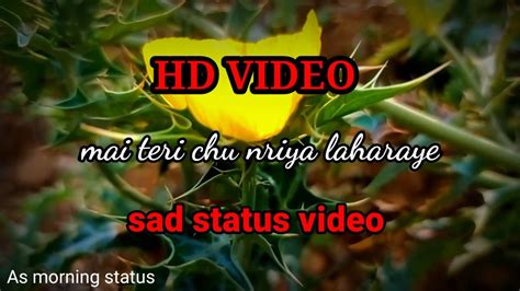 Mai Teri Chu Nariya Laharaye Lofi Sad Status Hd Video Sad Song