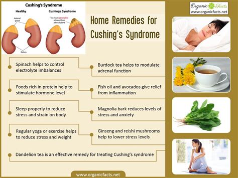 13 Effective Home Remedies For Cushings Syndrome Cushings Syndrome