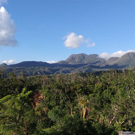 Dominica Mountain Views Post Hurricane Maria After The Hurricane