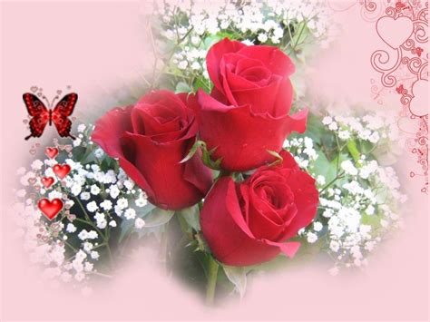 Images Of Love Roses Hd Red Roses Amp Love Heart