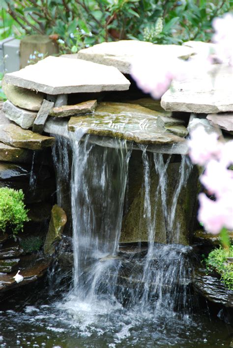 Main Line Ponds Water Garden And Waterfall Designs