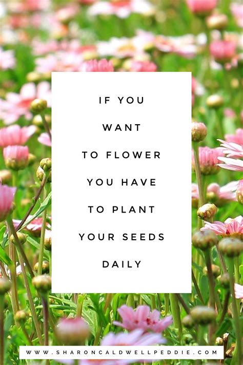 Plant Seeds Daily For Your Growth Inspirational Quotes Plants Quotes
