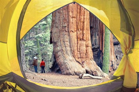 A First Timers Guide To Sequoia National Park Us Park Pass