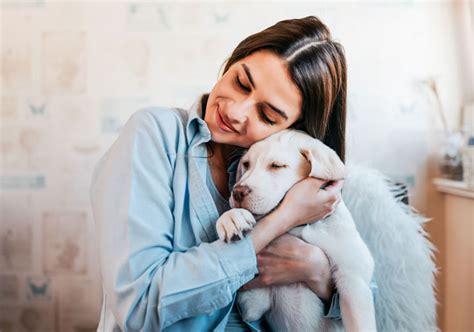 Perros Y Gatos Felices Qué Necesitan Tus Mascotas Para Sentirse Bien