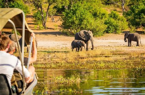 The 5 Best Botswana Tours For Unforgettable Adventures That Are Achievable And Affordable