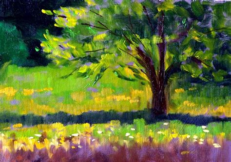 Original Landscape Oil Painting Summer Tree 5x7