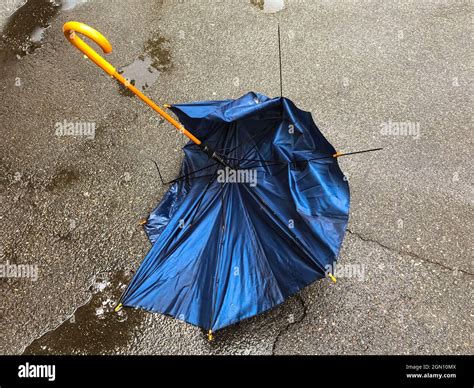 A Black Broken Cane Umbrella Lies On The A Pavement In A Puddle An
