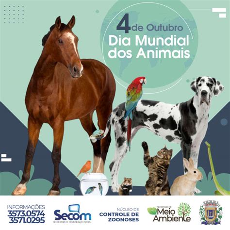 Dia Internacional Dos Animais 2024