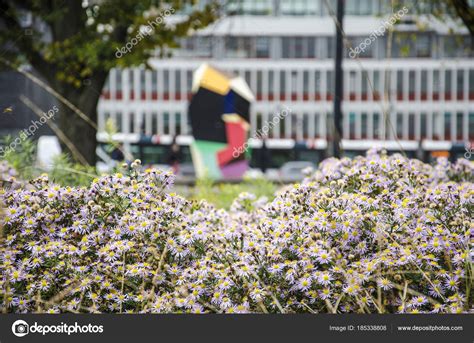 Rotterdam Flower Park Best Flower Site