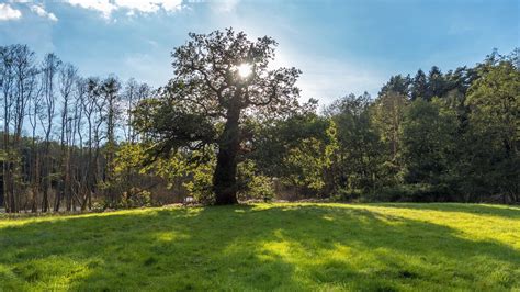 Die uckermark ist mit ihren endlosen feldern, wälder und über 500 seen ein paradies für hundebesitzer. Schloss Arendsee - Uckermark