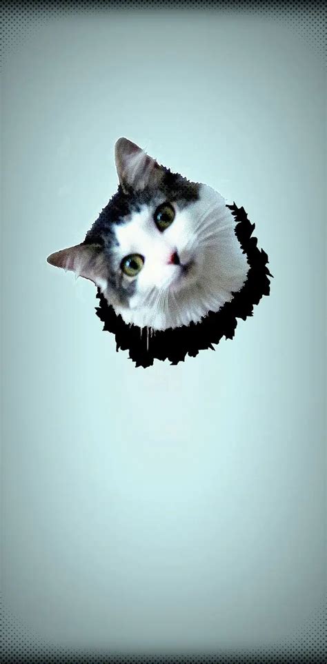 Kitty Cat Head Wallpaper By 1artfulangel Download On Zedge 7830