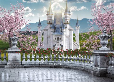Stunning Castle Balcony Digital Background Perfect Princess Etsy Uk
