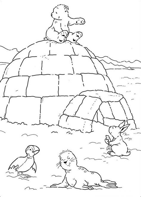 Arctic Habitat Coloring Pages At Free