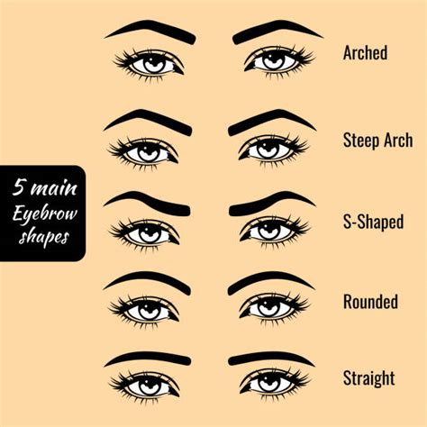 Silhouette Of The Different Types Of Eyebrow Shapes Stock Photos