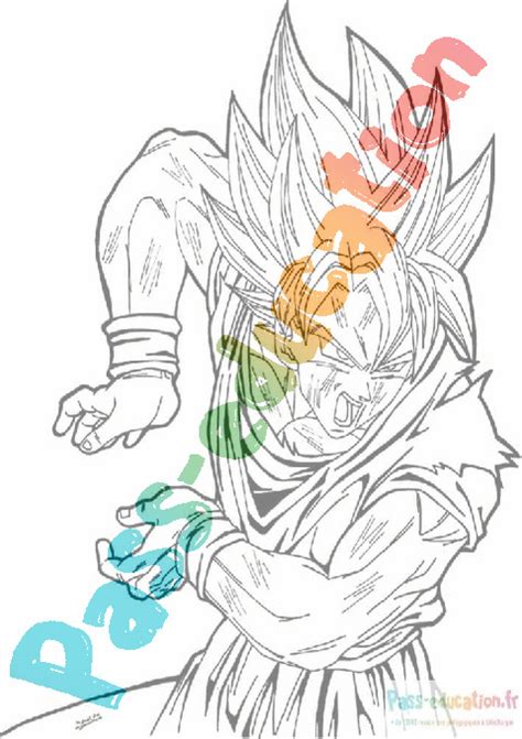 Coloriage gratuit Sangoku PDF à imprimer