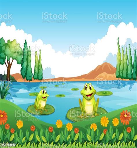 Two Playful Frogs At The Pond Stock Illustration Download Image Now