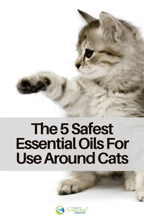 Moreover, as cat owners and lovers ourselves, the following list represents essential oils that we have used around our own pets for many years without and, in the words of the modern father of essential oils and the eminent scholar robert tisserand you can diffuse essential oils around cats safely, so. 963 best Essential Oils For Health images on Pinterest ...