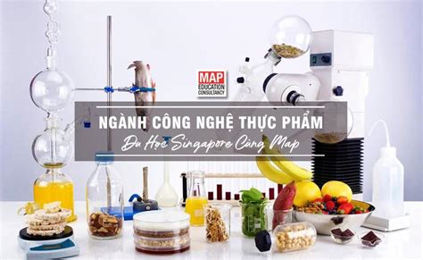 It is easy to use and offers various export options to use the map for training and. Du Học Singapore Ngành Công Nghệ Thực Phẩm | Du học MAP