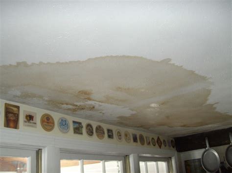 How To Repair Ceiling Stains And Water Damage On Flora Brothers Painting