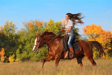Cowgirl Horse Pictures Cowgirl Horse Stock Photos And Images