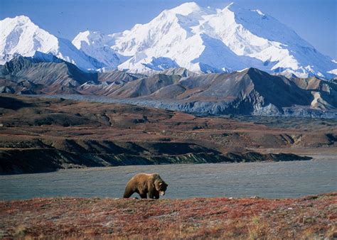 Alaska & Yukon Tour | Audley Travel