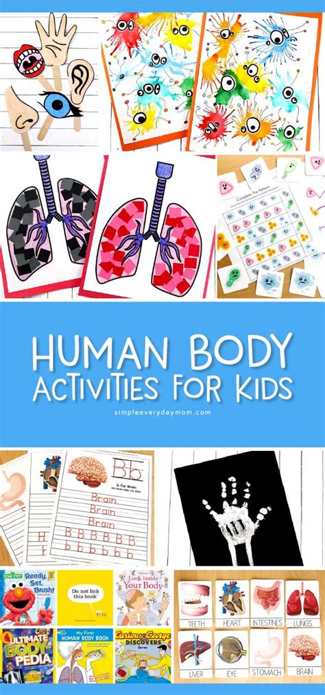 7 Interesting Human Body For Kids Crafts Activities And More Simple