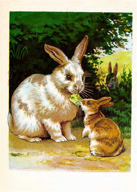 Bunnies Vintage Art Old Free Stock Photo Public Domain Pictures