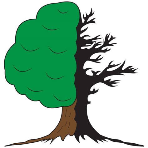 Tree Damage Illustrations Royalty Free Vector Graphics And Clip Art Istock