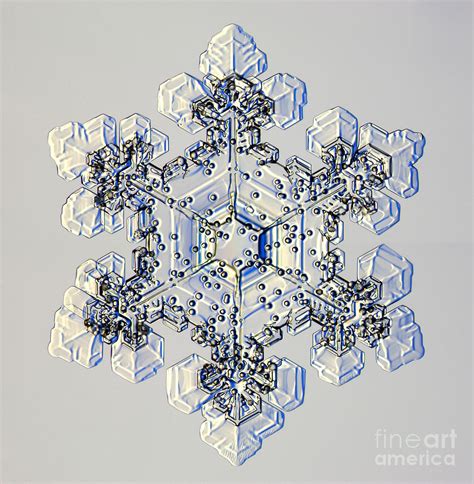 Rimed Snowflake Photograph By Kenneth Libbrechtscience Photo Library