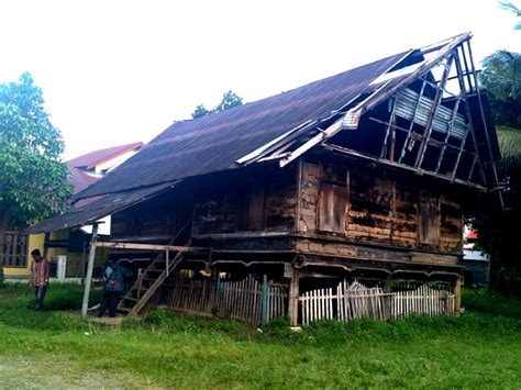 Rumah krong bade atau yang merupakan rumah adat dari provinsi nangroe aceh darussalam ini juga biasa dikenal dengan sebutan atau nama rumoh aceh. Paling Bagus 24+ Gambar Rumah Adat Aceh - Gani Gambar
