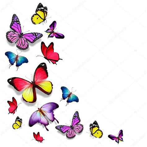 Lista Foto Dibujos De Mariposas Volando Animadas Lleno