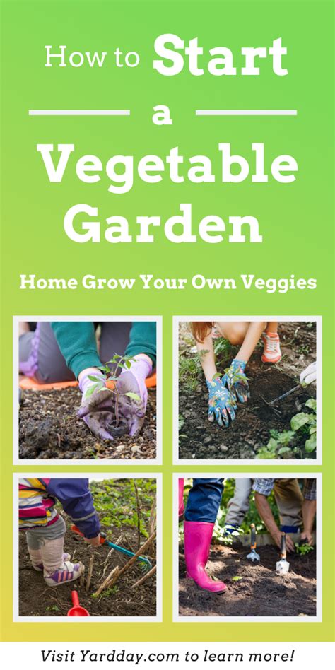 How To Start A Vegetable Garden Home Grow Your Own Veggies In 2020