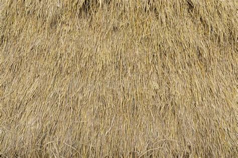 Dry Straw Neatly Stacked Vertically Grass Hay Background Texture