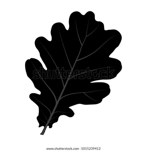 Oak Leaf Vector Stock Vector Royalty Free 1015239412 Shutterstock