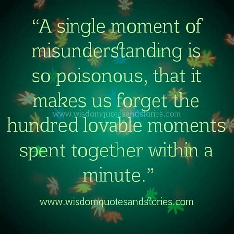 Quotes About Misunderstanding 161 Quotes