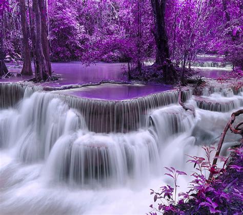 1920x1080px 1080p Free Download Purple Waterfall Forest Natural