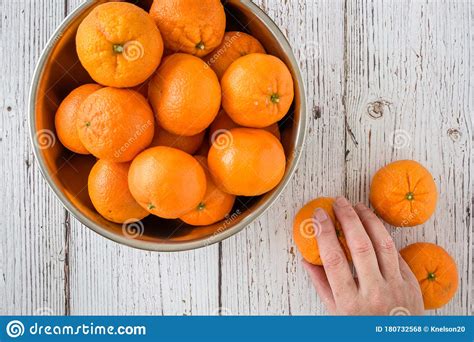 Small Clementine Oranges In A Stainless Steel Bowl Stock Photo Image