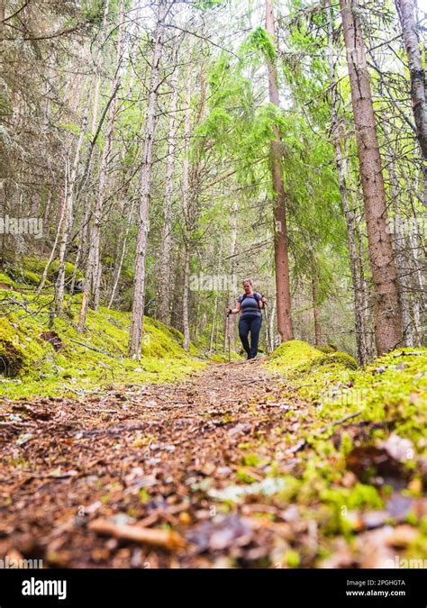 Une Femme Profite Dune Promenade Tranquille Dans La Beauté Paisible Des Bois De Norways En