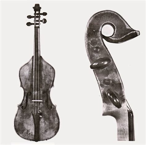 Amore E Simpatia Alla Scoperta Della Viola Damore Stradivari Viola D