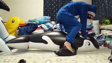 Igarashi Inflatable Killer Whale Ride Youtube