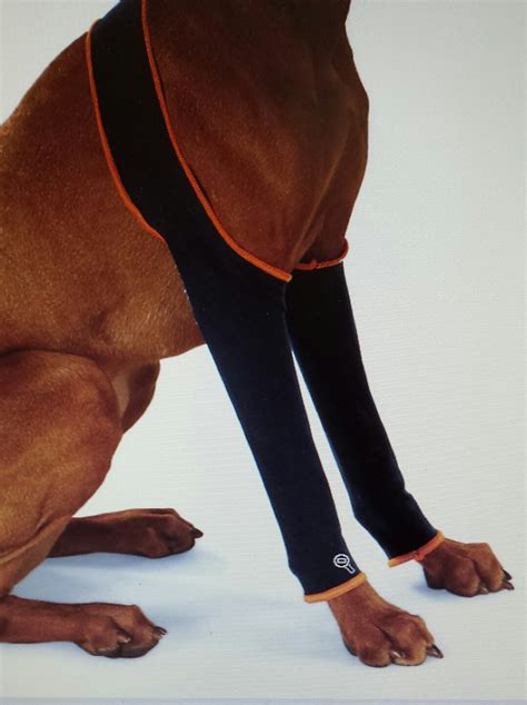 Kelleys Dog Blog Leg Protectors