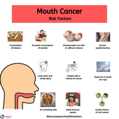 Mouth Cancer Risk Factors Rinfographics
