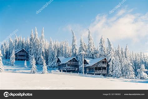Beautiful Snowy Fir Trees In Frozen Mountains Landscape In Sunset With