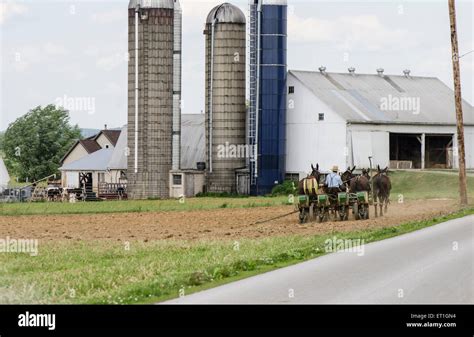 Amish farmer plowing land, ploughing, in traditional way, countryside