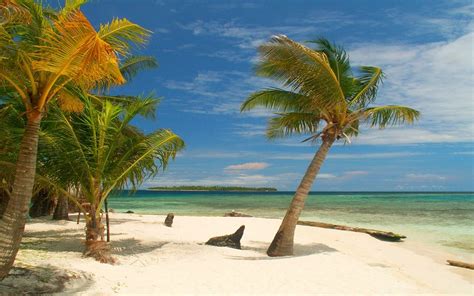 Photography Landscape Nature Island Tropical Palm