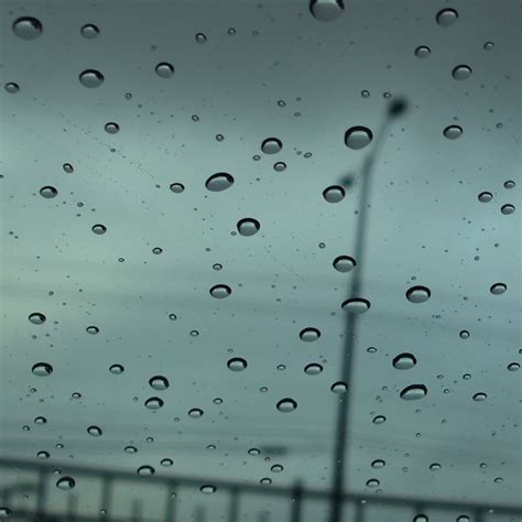 Autumn Rain iPad Wallpapers Free Download