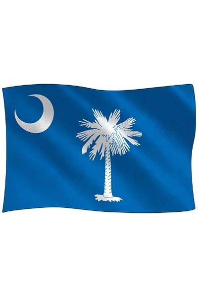 Palmetto Flag Postcard