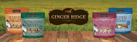 Ginger Ridge Stable Snax Horse Treats Vanila Flax 175